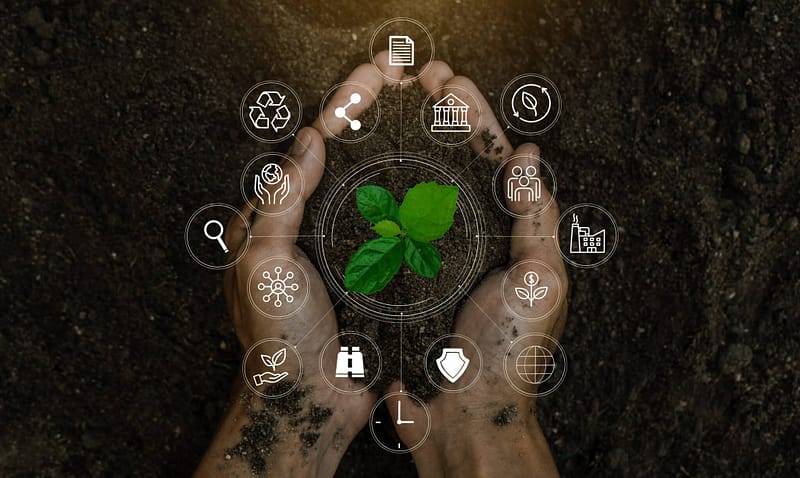 informe de gestion ambiental